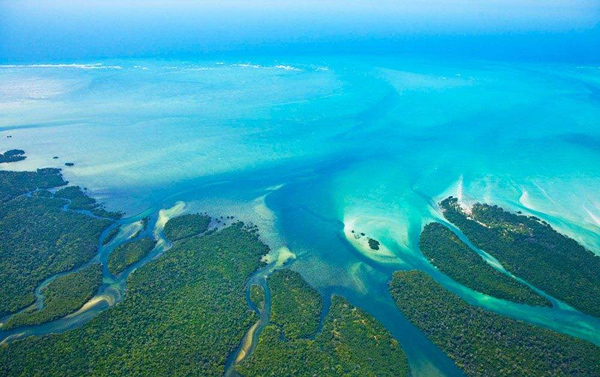 非洲物流专家旭洲物流带您走进莫桑比克电力市场_非洲海运_旭洲物流